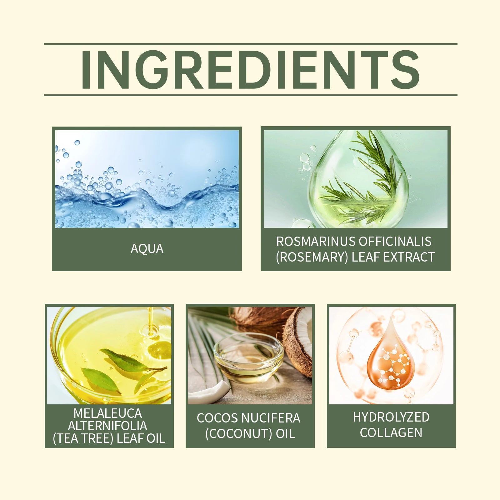 Rosemary Hair Care Set Hair
